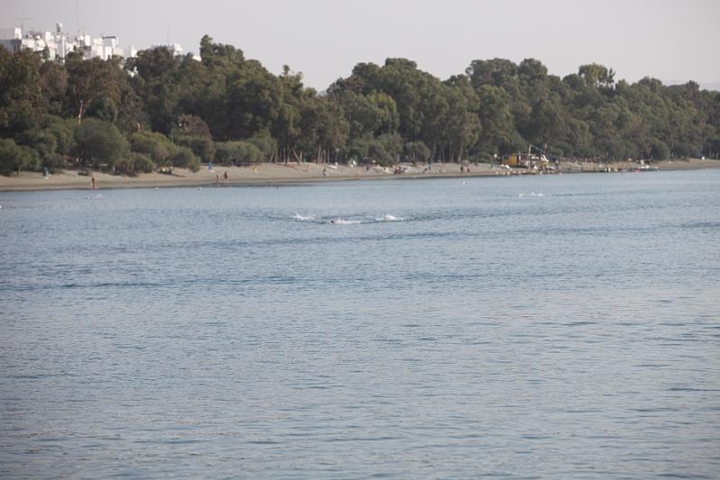Comen Cup 2009 474.jpg